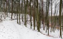 IMG_2003-Pano_c