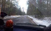 prosta droga w lesie duże prędkości pojazdów mechanicznych