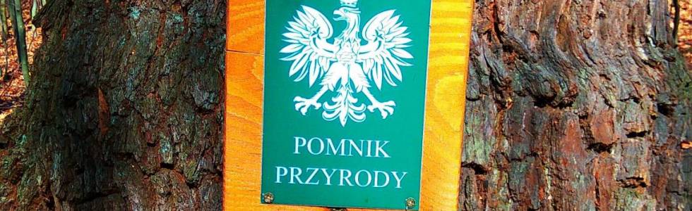 przedpołudniowa pięćdziesiątka.