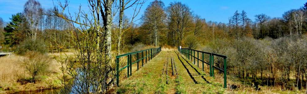 Hajnówka - Kosy Most - Białowieża  Dzień pierwszy