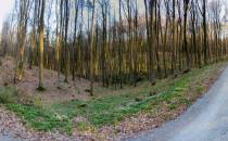 IMG_2806-Pano_cs