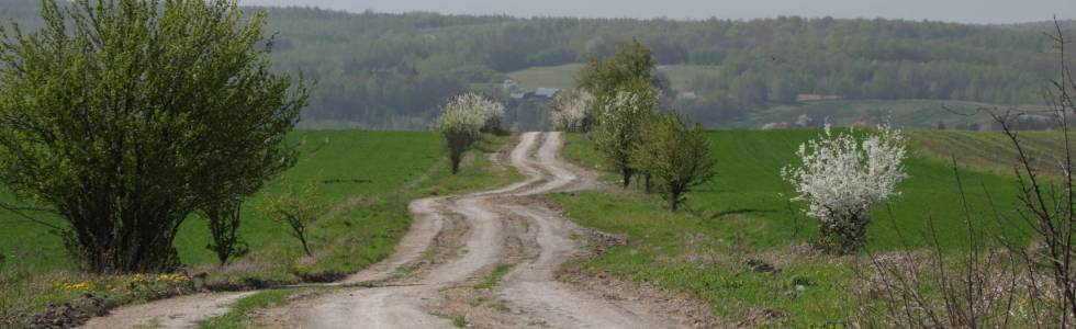 Zamość - Wierzbie - Zamość