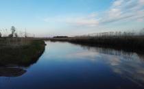 Narew