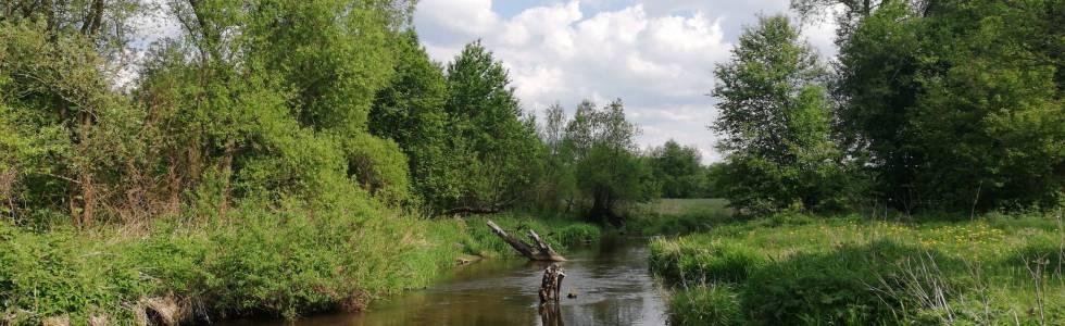 Opoczno-Sitowa-Ostrów-Opoczno