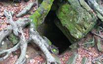 Jaskinia pod Bukiem