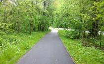 zielona ścieżka rowerowa