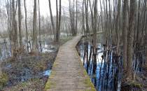 Biebrzański Park Narodowy-Grzędy