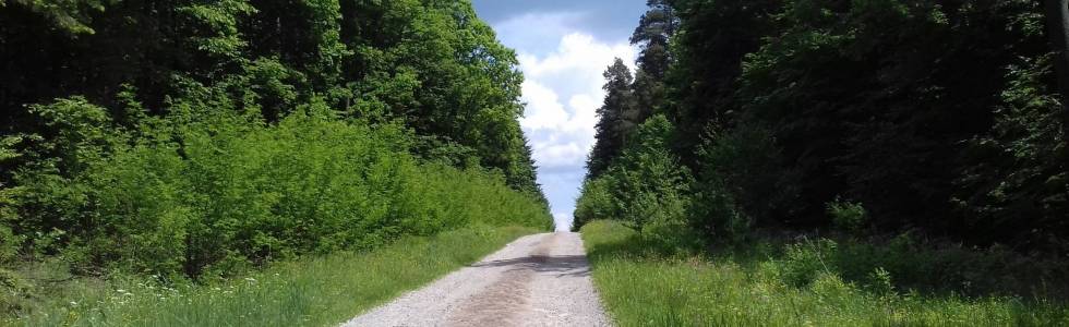 Skarżysko-Suchedniów-Wykus-Mostki-Skarżysko