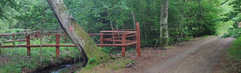 Białogóra Nordic Park - trasa czerwona