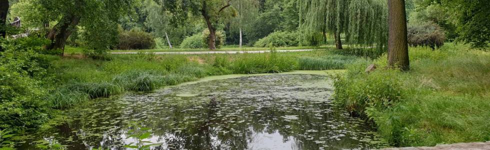 Emilka odwiedza Park Złotnicki