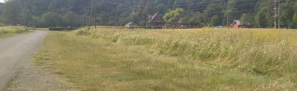 Jeziorka Duszatyńskie i pomnik Przyrody na Potoku Olchowatym