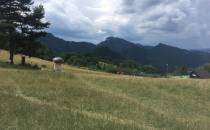 Pieniny