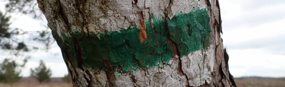 Szlak Skarszewski (Sopot - Skarszewy) - Pieszy Zielony ver. 2019