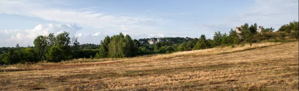 Rzędkowice - Jaskinia Żabia - Rzędkowice