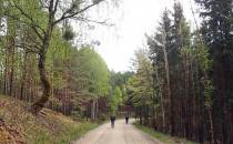 Długi podjazd; malownicza droga przez las