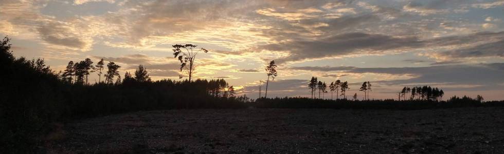 Pętla: Męcikał - Jezioro Jeleń - Drzewicz -  Jezioro Dybrzk - Czernica - Męcikał