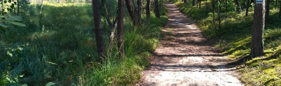 Wawer - Mazowiecki park krajobrazowy niebieski szklak