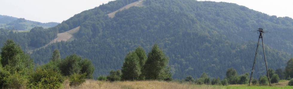 Beskid Sądecki: Piwniczna-Zdrój - Radziejowa