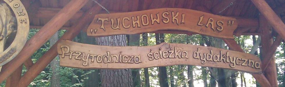 spacer po Tuchowskim Lesie