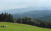 widok na Tatry Bielskie