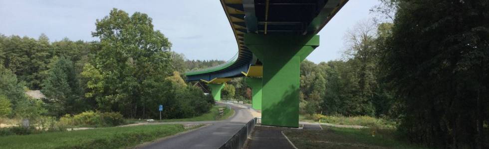 Supraśl , plaża , sosna - 350 lat