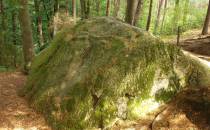 Największy Diabelski Kamień na Kaszubach