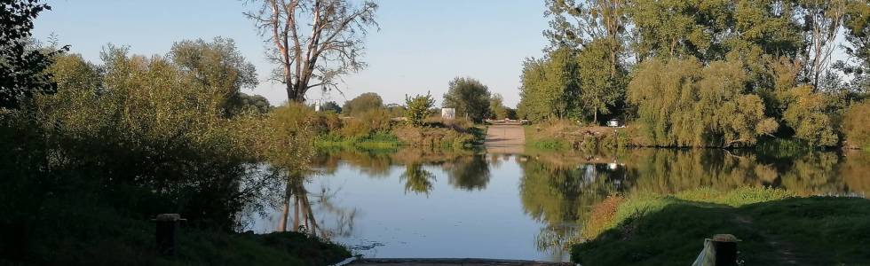 Brzeg - Pogorzela - Lewin Brzeski - Łosiów