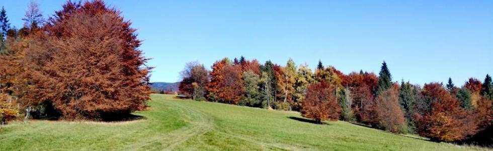 Kolorowy Beskid Sądecki i trochę Małych Pienin