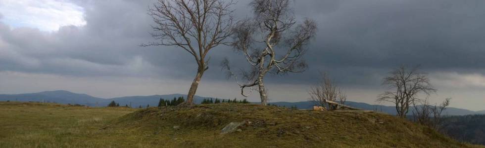 Przełęcz Puchaczówka - Pasterskie Skały - Marcinków- Skowronia Góra