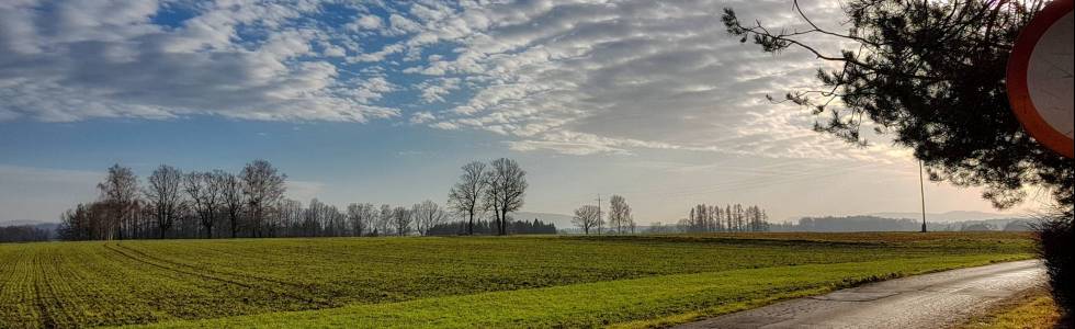 Czy to jeszcze jesień, czy wiosna się zaczyna..., a gdzie zgubiła się zima?