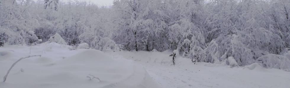 Mogielica - Polana Stumorgowa na biegówkach