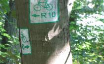 oznaczenia R-10 na szlaku zielonym - wspolny przebieg
