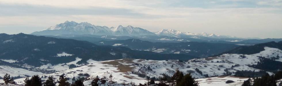 Szczawnica - Palenica - Wysoka - Wąwóz Homole - Jaworki