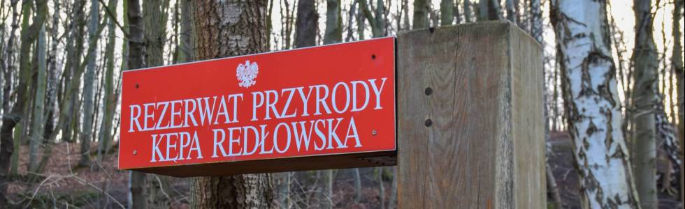 Do Rezerwatu Kępa Redłowska