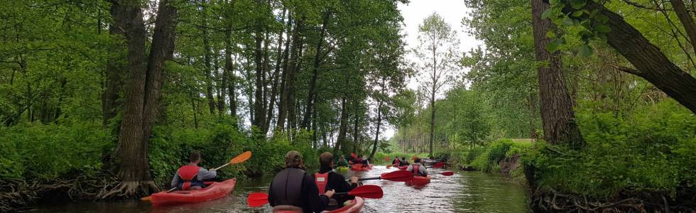 Narew. Gzowo - Serock