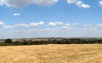 Panorama w drodze z Opatowa do Sandomierza.