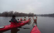 Narew. Plaża Miejska. Foczki