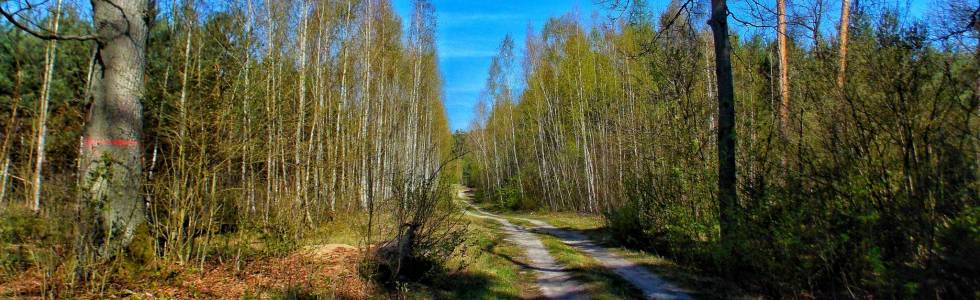 Park Krajobrazowy Dolina Jezierzycy