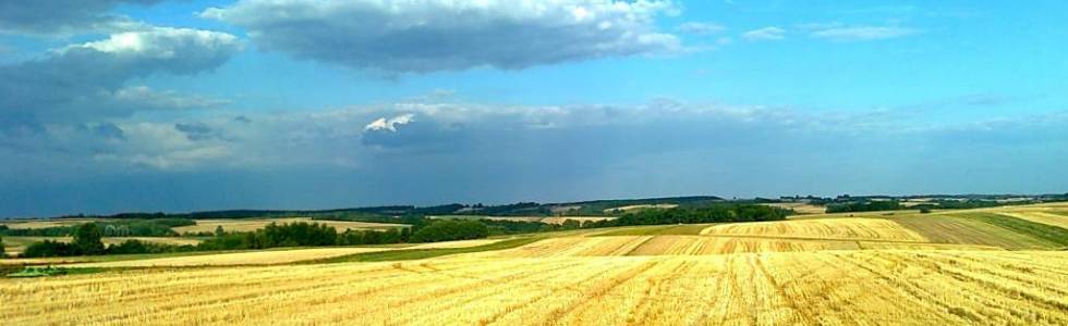 Pińczów - Dosłońce - Góry Miechowskie - Antolka - Książ Wielki - Pińczów