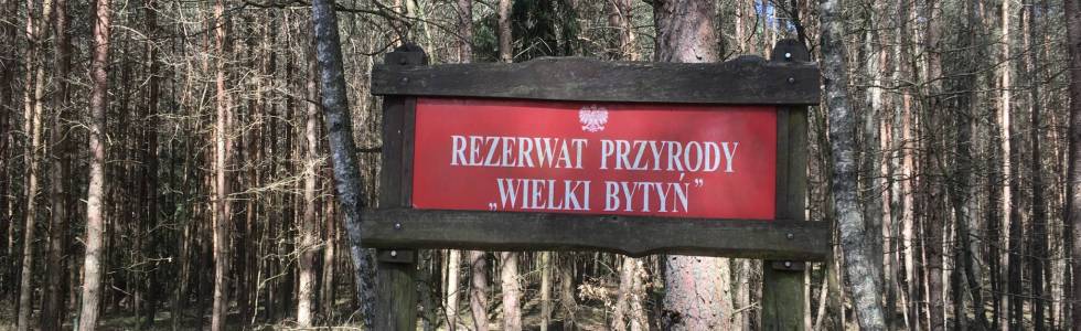 Rezerwat Przyrody Bytyń Wielki + okolica - 24.04.2020 r.