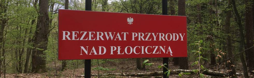 Trasa Rezerwat nad Płociczną i okolica - 25.04.2020 r.