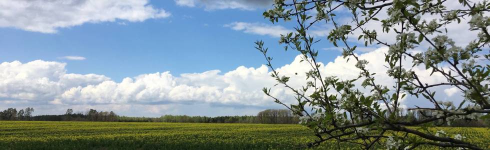 Trasa Grąpa - Kopanino - Krępa Koszalińska - 02.05.2020 r.