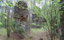 Ruiny starej Prochowni