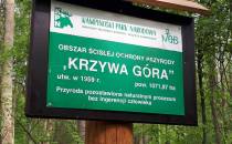 Krzywa Góra