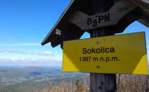 Sokolica