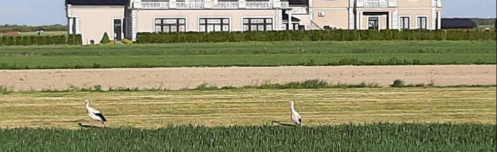 Łuków  - Trasa rowerowa szosowa SN -22 km wokół  Łukowa