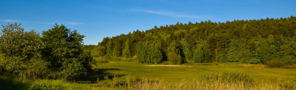 Osowa - Redłowo po godzinach