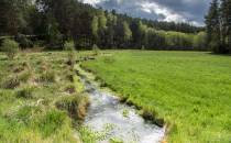 Rzeczka Studzienica płynie do Jeziora Jeleniego