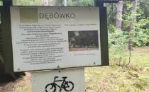 Dębówko