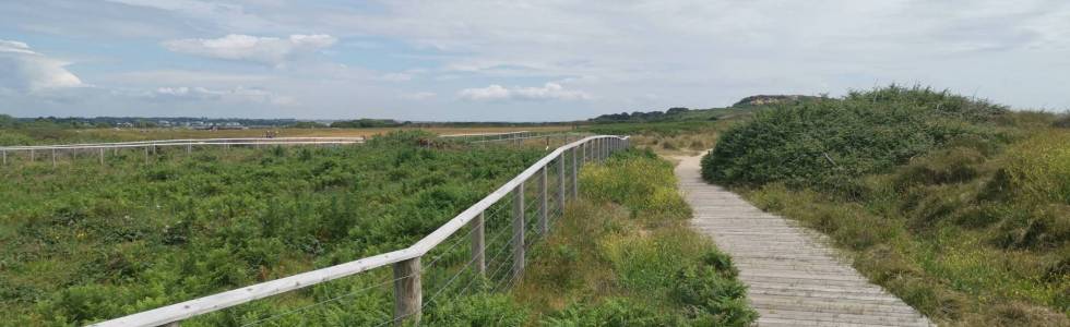 Z plaży w Southbourne do Hengistbury Head i spowrotem.